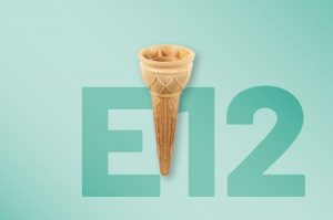 E12 | TULIP CONE | LARGE