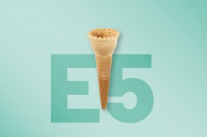 E5 – Tulip Cone